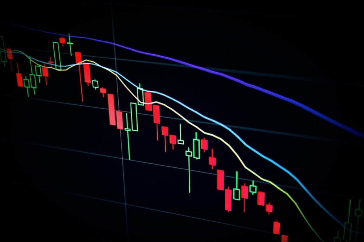 Comparatif copy trading — eToro, ZuluTrade, NAGA, Darwinex